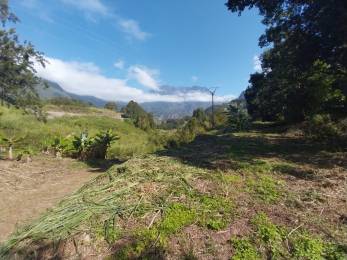 Achat Terrain Salazie (97433) - REUNION