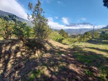 Achat Terrain Salazie (97433) - REUNION