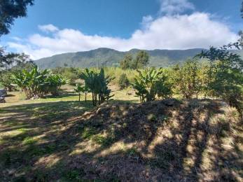 Achat Terrain Salazie (97433) - REUNION