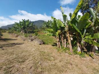Achat Terrain Salazie (97433) - REUNION