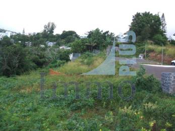 Achat Terrain La Montagne (97417) - REUNION