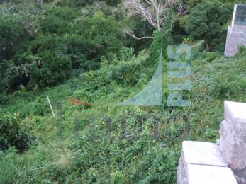 Achat Terrain La Montagne (97417) - REUNION