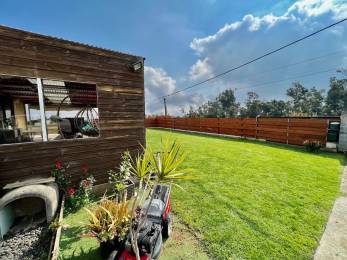 Achat Villa Tampon (97430) - REUNION