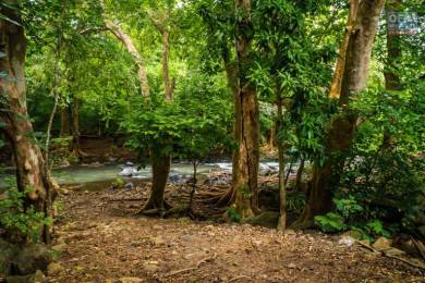Achat Terrain Tamarin (MU) - MAURICE