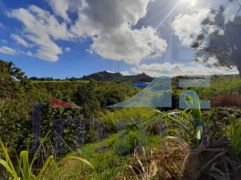 Achat Terrain Piton Saint-Leu (97424) - REUNION