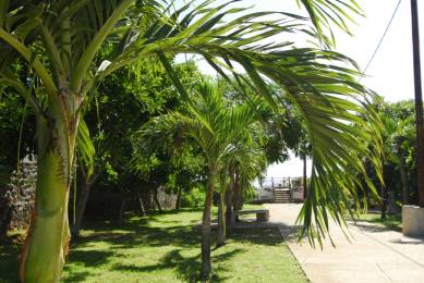 Achat Terrain Saint-Gilles les Bains (97434) - REUNION