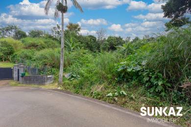 Achat Terrain Petite Ile (97429) - REUNION