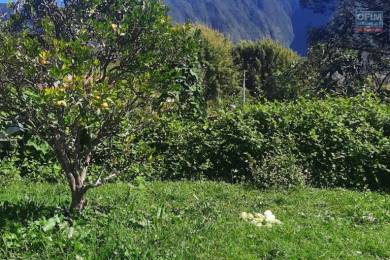 Achat Maison Plaine des Palmistes (97431) - REUNION