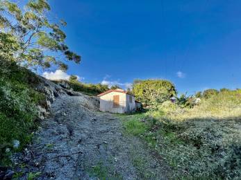 Achat Terrain Saint-Joseph (97480) - REUNION