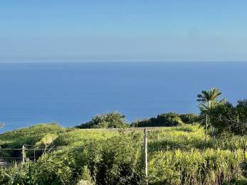 Achat Terrain Saint-Joseph (97480) - REUNION