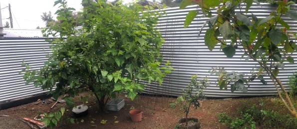 Location Maison Hauts de Saint-Leu (97416) - REUNION