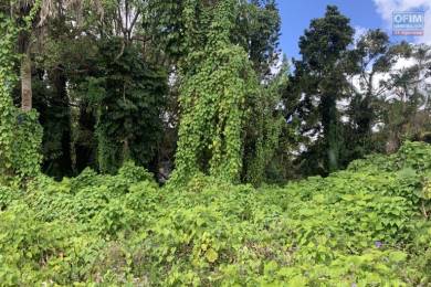 Achat Terrain Curepipe () - MAURICE