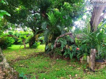 Achat Maison Saint-Claude (97120) - GUADELOUPE