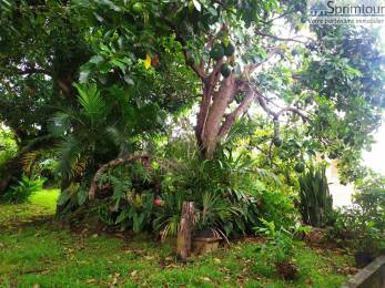 Achat Maison Saint-Claude (97120) - GUADELOUPE