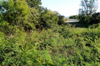 Achat Terrain Saint-Leu (97436) - REUNION