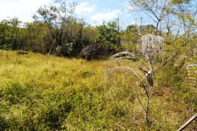 Achat Terrain Saint-Leu (97436) - REUNION