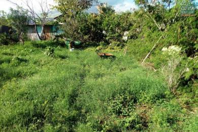 Achat Terrain Saint-Leu (97436) - REUNION