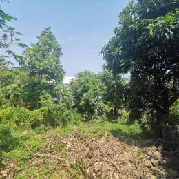 Achat Terrain Saint-Joseph (97480) - REUNION