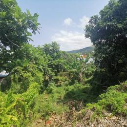 Achat Terrain Saint-Joseph (97480) - REUNION