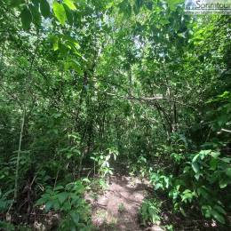 Achat Terrain Vieux Habitants (97119) - GUADELOUPE