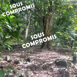 Achat Terrain Vieux Habitants (97119) - GUADELOUPE