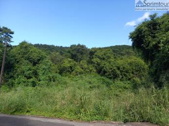 Achat Terrain Vieux Habitants (97119) - GUADELOUPE