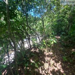 Achat Terrain Vieux Habitants (97119) - GUADELOUPE