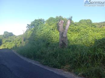 Achat Terrain Vieux Habitants (97119) - GUADELOUPE