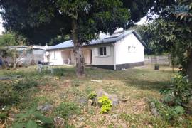 achat maison à saint-pierre (97410)