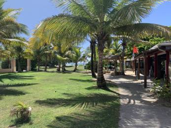 Location  Local Commercial Saint-François (97118) - GUADELOUPE