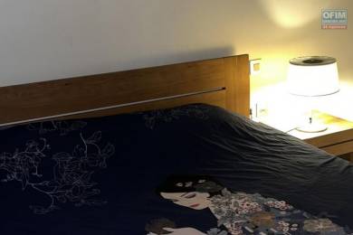 Achat Appartement GRAND BAIE - PEREYBERE - POINTE AUX CANNONIERS () - MAURICE