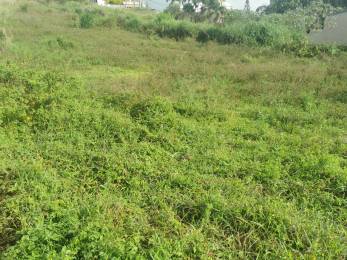 Achat Terrain Saint-Pierre (97410) - REUNION
