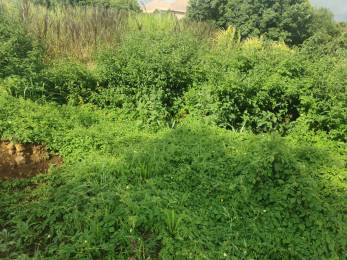 Achat Terrain Saint-Pierre (97410) - REUNION