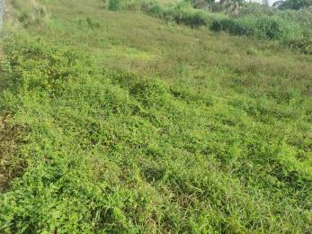 Achat Terrain Saint-Pierre (97410) - REUNION