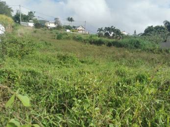 Achat Terrain Saint-Pierre (97410) - REUNION