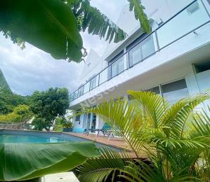 Achat Maison Saint-Denis (97400) - REUNION