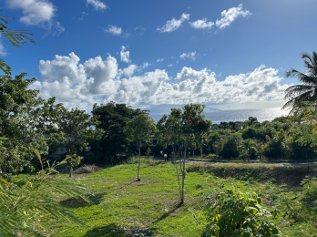 Achat Terrain Marie Galante (97112) - GUADELOUPE
