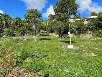 Achat Terrain Marie Galante (97112) - GUADELOUPE