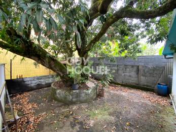 Achat Maison Saint-Benoît (97470) - REUNION