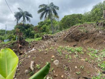 Achat Terrain Saint-Denis (97400) - REUNION