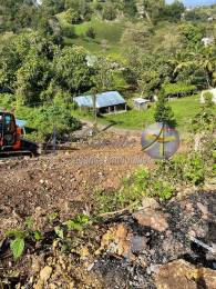 Achat Terrain Les Abymes (97139) - GUADELOUPE