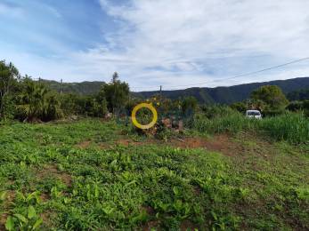 Achat Terrain Saint-Joseph (97480) - REUNION