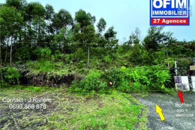 Achat Terrain Plaine des Palmistes (97431) - REUNION