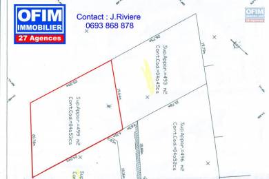 Achat Terrain Plaine des Palmistes (97431) - REUNION