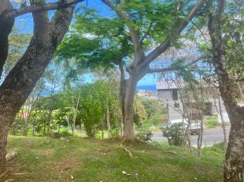 Achat Terrain La Possession (97419) - REUNION