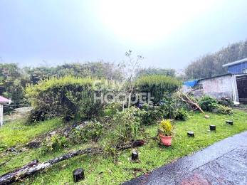Achat Terrain Plaine des Palmistes (97431) - REUNION