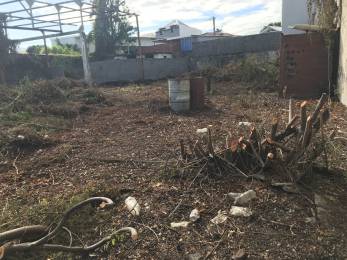 Achat Terrain centre ville st louis Saint-Louis (97450) - REUNION