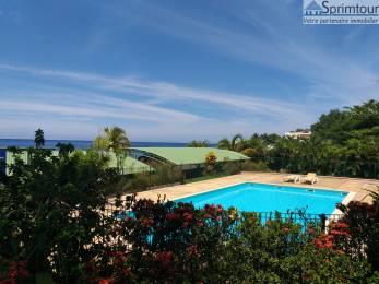 Achat Duplex Gourbeyre (97113) - GUADELOUPE