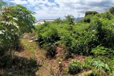 Achat Terrain Rivière Saint-Louis (97421) - REUNION