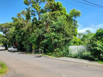 Achat Terrain Sainte-Clotilde (97490) - REUNION